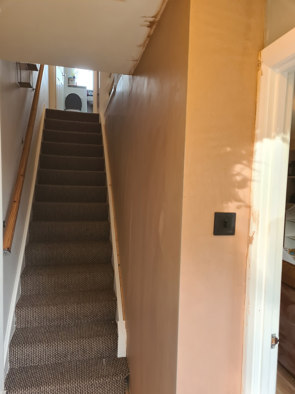 Stairwell freshly plastered with the existing carpet left clean